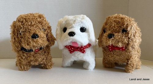 Pack walking puppy - 3,