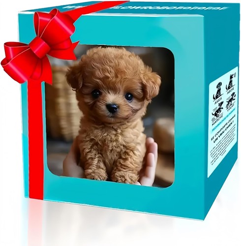 Walking puppy interactive - walking,