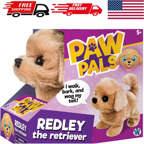 Interactive redley the - interactive,