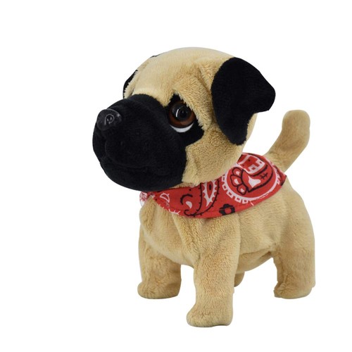 Pug puppy educational - pug,